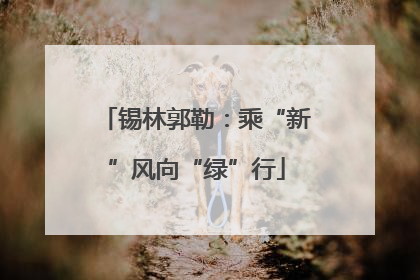 锡林郭勒：乘“新”风向“绿”行