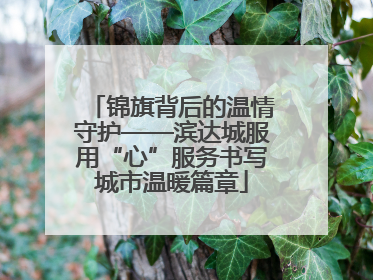 锦旗背后的温情守护——滨达城服用“心”服务书写城市温暖篇章
