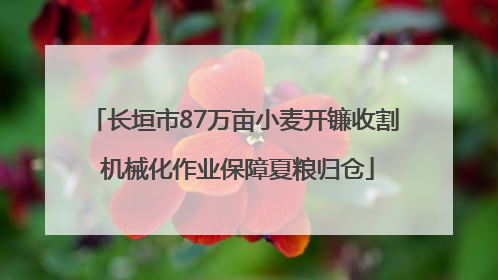 长垣市87万亩小麦开镰收割 机械化作业保障夏粮归仓