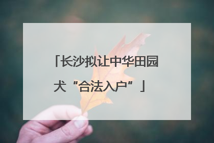 长沙拟让中华田园犬“合法入户”