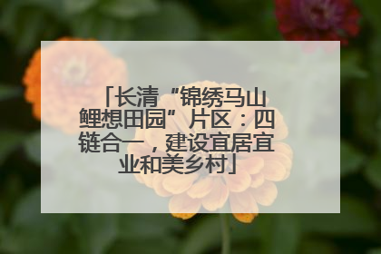 长清“锦绣马山 鲤想田园”片区：四链合一，建设宜居宜业和美乡村