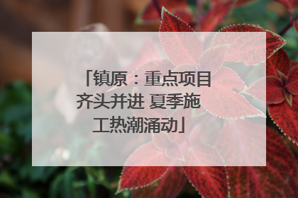 镇原：重点项目齐头并进 夏季施工热潮涌动