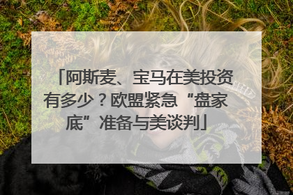 阿斯麦、宝马在美投资有多少？欧盟紧急“盘家底”准备与美谈判
