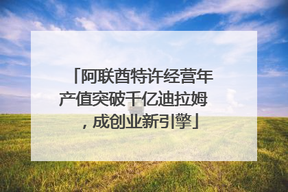 阿联酋特许经营年产值突破千亿迪拉姆，成创业新引擎