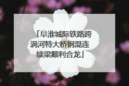 阜淮城际铁路跨涡河特大桥钢混连续梁顺利合龙