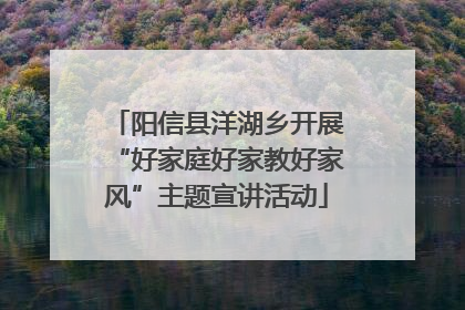 阳信县洋湖乡开展“好家庭好家教好家风”主题宣讲活动