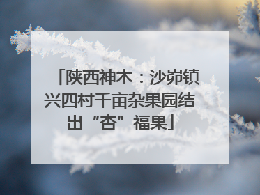 陕西神木：沙峁镇兴四村千亩杂果园结出“杏”福果