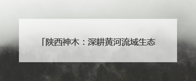 陕西神木：深耕黄河流域生态治理 绘就绿色发展新画卷
