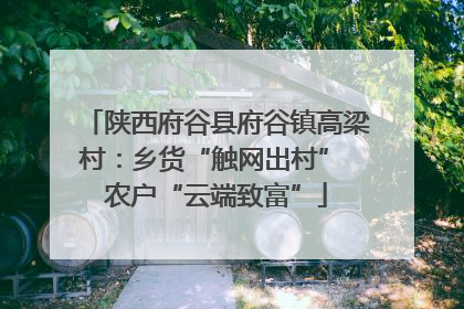 陕西府谷县府谷镇高梁村：乡货“触网出村” 农户“云端致富”