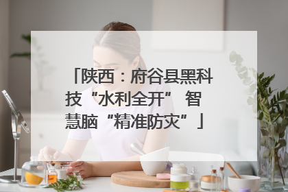陕西：府谷县黑科技“水利全开” 智慧脑“精准防灾”