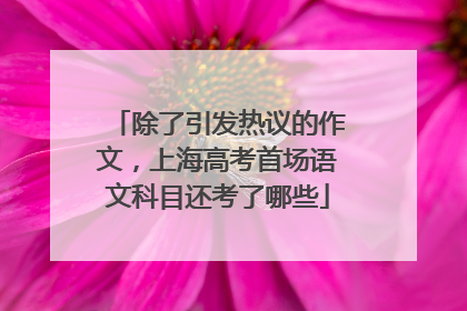 除了引发热议的作文，上海高考首场语文科目还考了哪些
