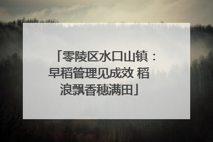 零陵区水口山镇：早稻管理见成效 稻浪飘香穗满田