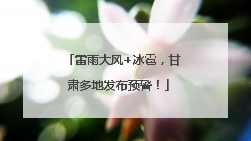 雷雨大风+冰雹，甘肃多地发布预警！
