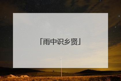 雨中识乡贤