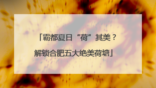 霸都夏日“荷”其美？解锁合肥五大绝美荷塘