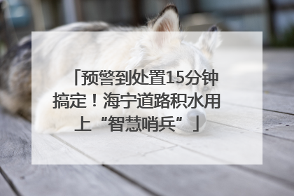 预警到处置15分钟搞定！海宁道路积水用上“智慧哨兵”