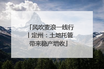 风吹麦浪一线行丨定州：土地托管带来稳产增收