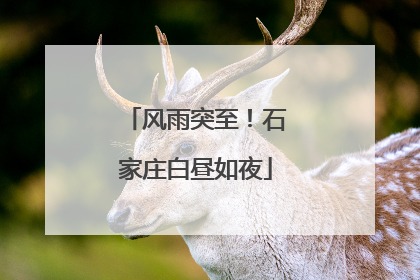 风雨突至！石家庄白昼如夜