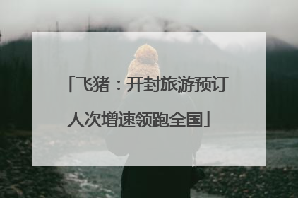 飞猪：开封旅游预订人次增速领跑全国