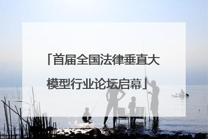 首届全国法律垂直大模型行业论坛启幕