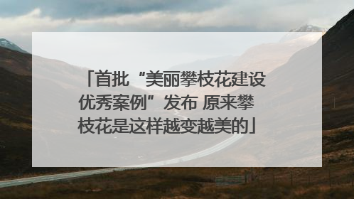 首批“美丽攀枝花建设优秀案例”发布 原来攀枝花是这样越变越美的