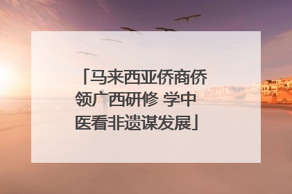 马来西亚侨商侨领广西研修 学中医看非遗谋发展