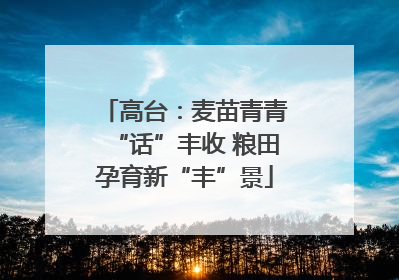 高台：麦苗青青“话”丰收 粮田孕育新“丰”景