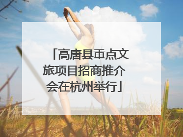 高唐县重点文旅项目招商推介会在杭州举行