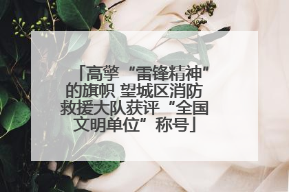 高擎“雷锋精神”的旗帜 望城区消防救援大队获评“全国文明单位”称号