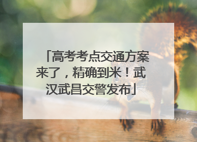 高考考点交通方案来了，精确到米！武汉武昌交警发布