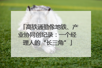 高铁通勤像地铁、产业协同创纪录：一个经理人的“长三角”