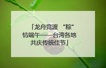 龙舟竞渡 “粽”情端午——台湾各地共庆传统佳节