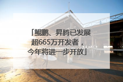 鲲鹏、昇腾已发展超665万开发者，今年将进一步开放