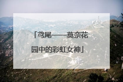 鸢尾——莫奈花园中的彩虹女神
