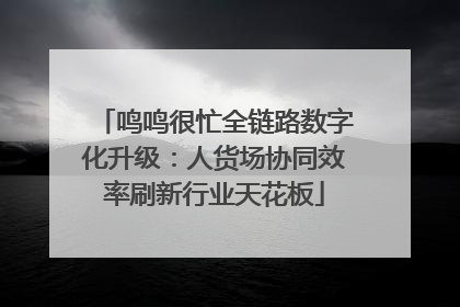 鸣鸣很忙全链路数字化升级：人货场协同效率刷新行业天花板