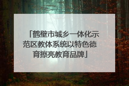 鹤壁市城乡一体化示范区教体系统以特色德育擦亮教育品牌