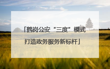 鹤岗公安“三度”模式 打造政务服务新标杆