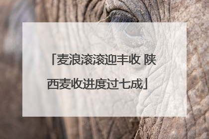 麦浪滚滚迎丰收 陕西麦收进度过七成