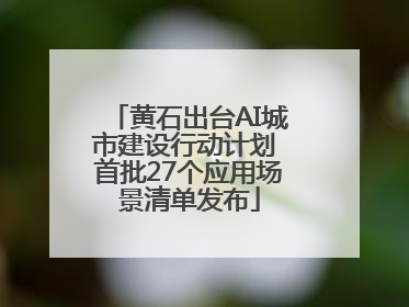 黄石出台AI城市建设行动计划 首批27个应用场景清单发布
