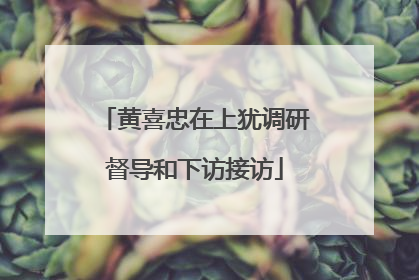黄喜忠在上犹调研督导和下访接访