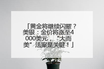黄金将继续闪耀？美银：金价将涨至4000美元，“大而美”法案是关键！