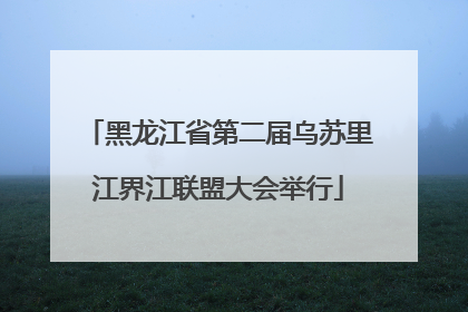 黑龙江省第二届乌苏里江界江联盟大会举行
