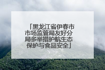 黑龙江省伊春市市场监管局友好分局多举措护航生态保护与食品安全