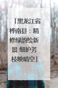 黑龙江省桦南县：精修绿韵绘新景 细护芳枝映晴空