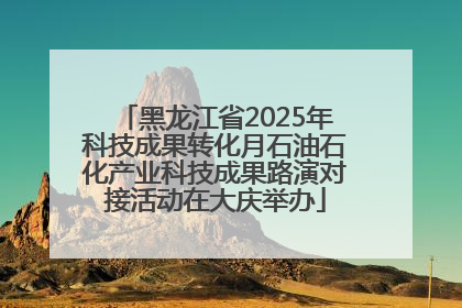 黑龙江省2025年科技成果转化月石油石化产业科技成果路演对接活动在大庆举办