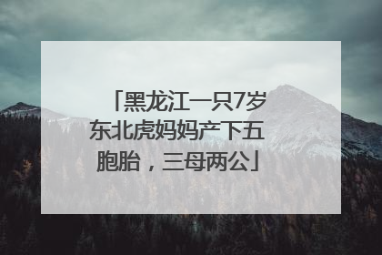 黑龙江一只7岁东北虎妈妈产下五胞胎，三母两公