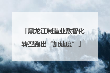 黑龙江制造业数智化转型跑出“加速度”