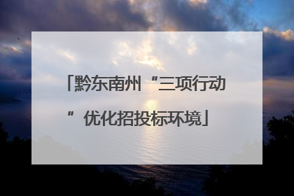 黔东南州“三项行动”优化招投标环境