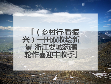 （乡村行·看振兴）一田双收绘新景 浙江婺城药膳轮作喜迎丰收季