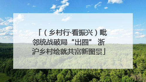 （乡村行·看振兴）毗邻统战破局“出圈” 浙沪乡村绘就共富新图景
